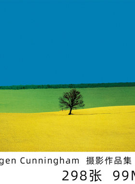 Franco Fontana 超前卫极简主义 意大利摄影大师 图片素材