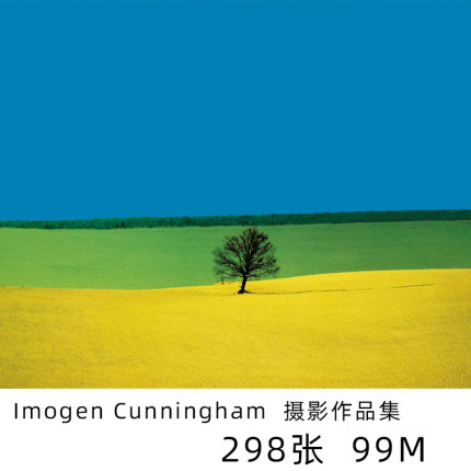 Franco Fontana 超前卫极简主义 意大利摄影大师 图片素材