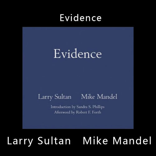 Evidence证据 Larry Sultan 拉里·苏尔坦 Mike Mandel