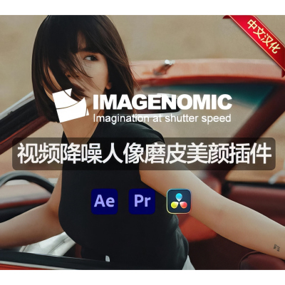 AE/PR/达芬奇磨皮美颜插件套装