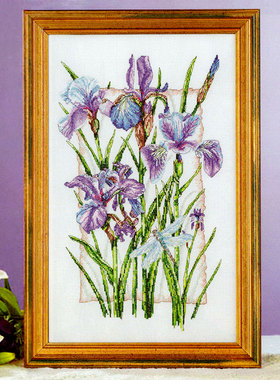 小小鱼ANC绣线十字绣套件 Gold64-6紫色鸢尾花植物花卉刺绣