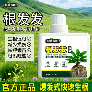 激根素促进根系生长毛细根增多家庭园艺多生根保苗生根剂一件代发