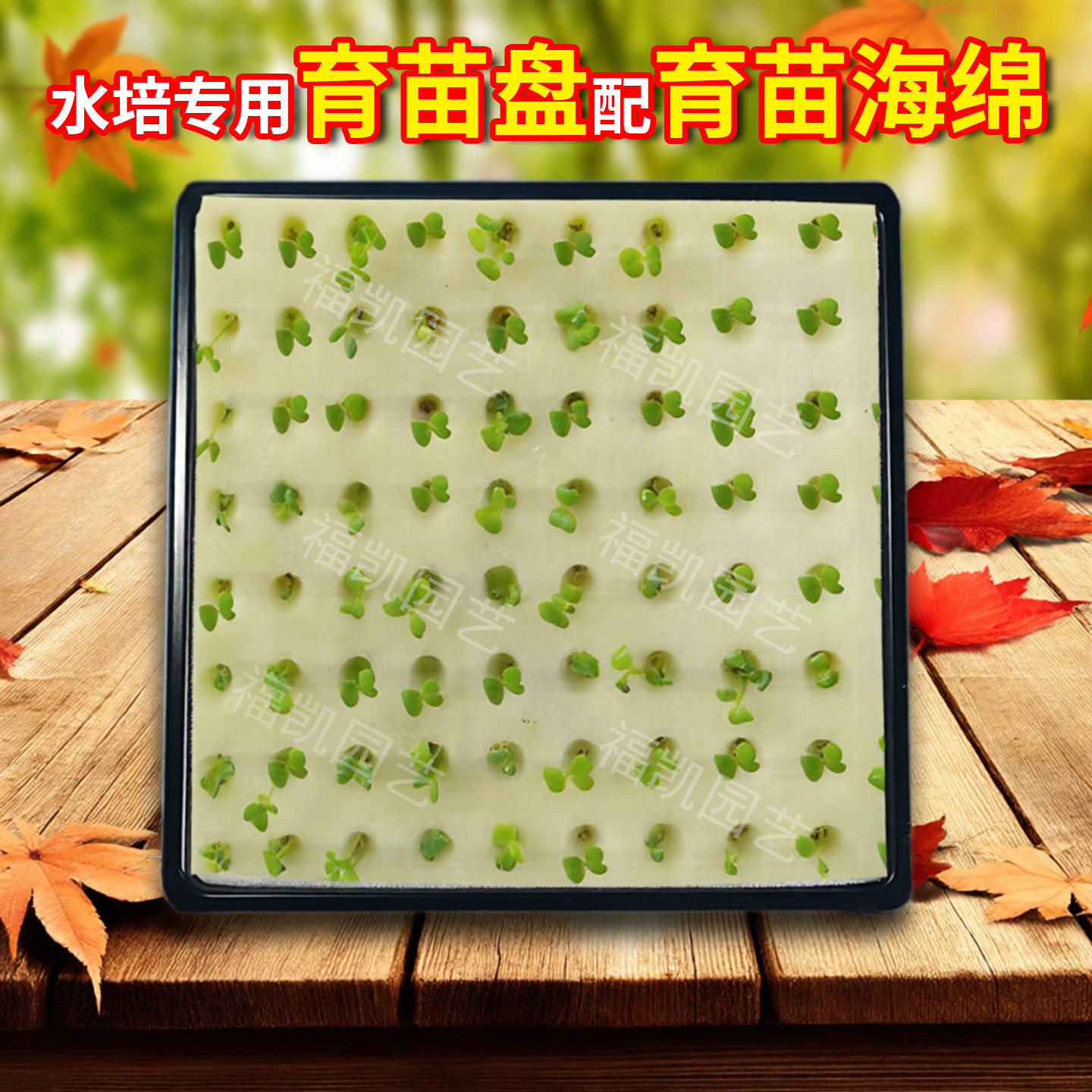 无土栽培育苗盘买一送一包邮配棉