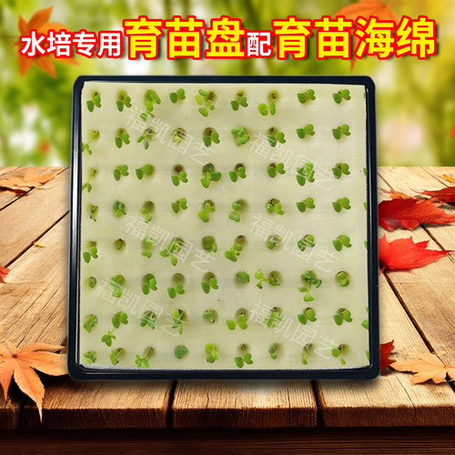无土栽培育苗盘买一送一包邮配棉