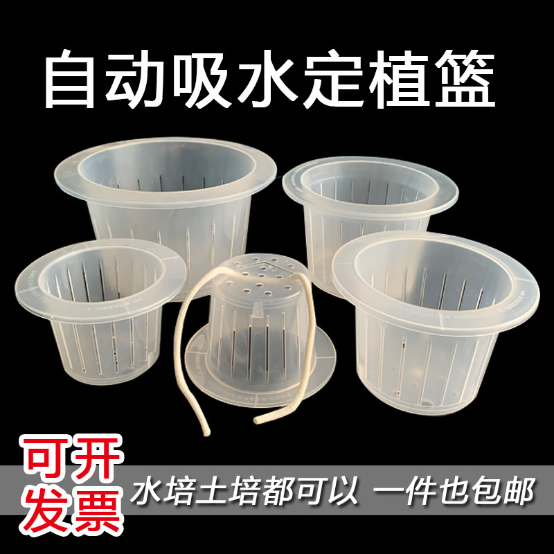 无土栽培水培定植篮鱼缸花盆固定篮加深花瓶固定架器绿萝草莓固根,鲜花速递/花卉仿真/绿植园艺,花盆,淘宝优惠券,粉丝福利购,淘宝优惠卷