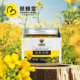 慈蜂堂油菜花粉蜂花粉非破壁新鲜食用颗粒男士 官方旗舰店250g