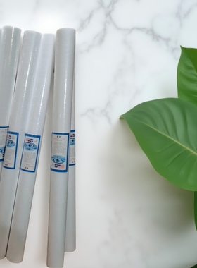 30 inch 5 micron保安过滤器30寸PP棉滤芯长76.2厘米外直径60mmPP