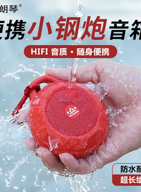 朗琴T350无线蓝牙音箱迷你插卡小音响户外跑步防水便携骑行低音炮