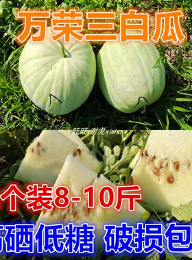 现货4个装单个8-9斤山西万荣特产万荣三白瓜白西瓜低糖水果白瓤