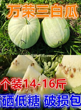 26年现货共6个单个14-16斤仅限太原六城区客户下单山西万荣三白瓜