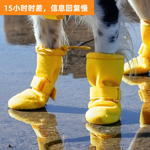加拿大代购直邮Canada pooch cp宠物狗防水雨鞋防滑