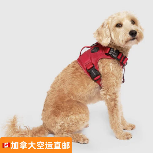 Canadapooch狗防脱胸背牵引绳