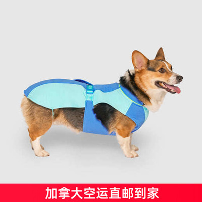 CanadaPooch宠物狗防晒衣狗衣服