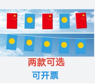 5米8号中国帕劳国旗串旗挂旗吊旗装饰小旗子帕劳小国旗