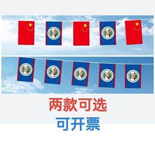5米8号中国伯利兹国旗串旗挂旗吊旗装饰小旗子伯利兹小国旗