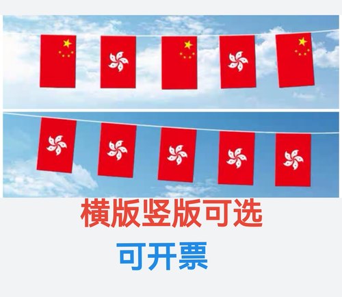 7米8米香港旗子香港特别行政区区旗香港中国旗串旗挂旗吊旗小旗子