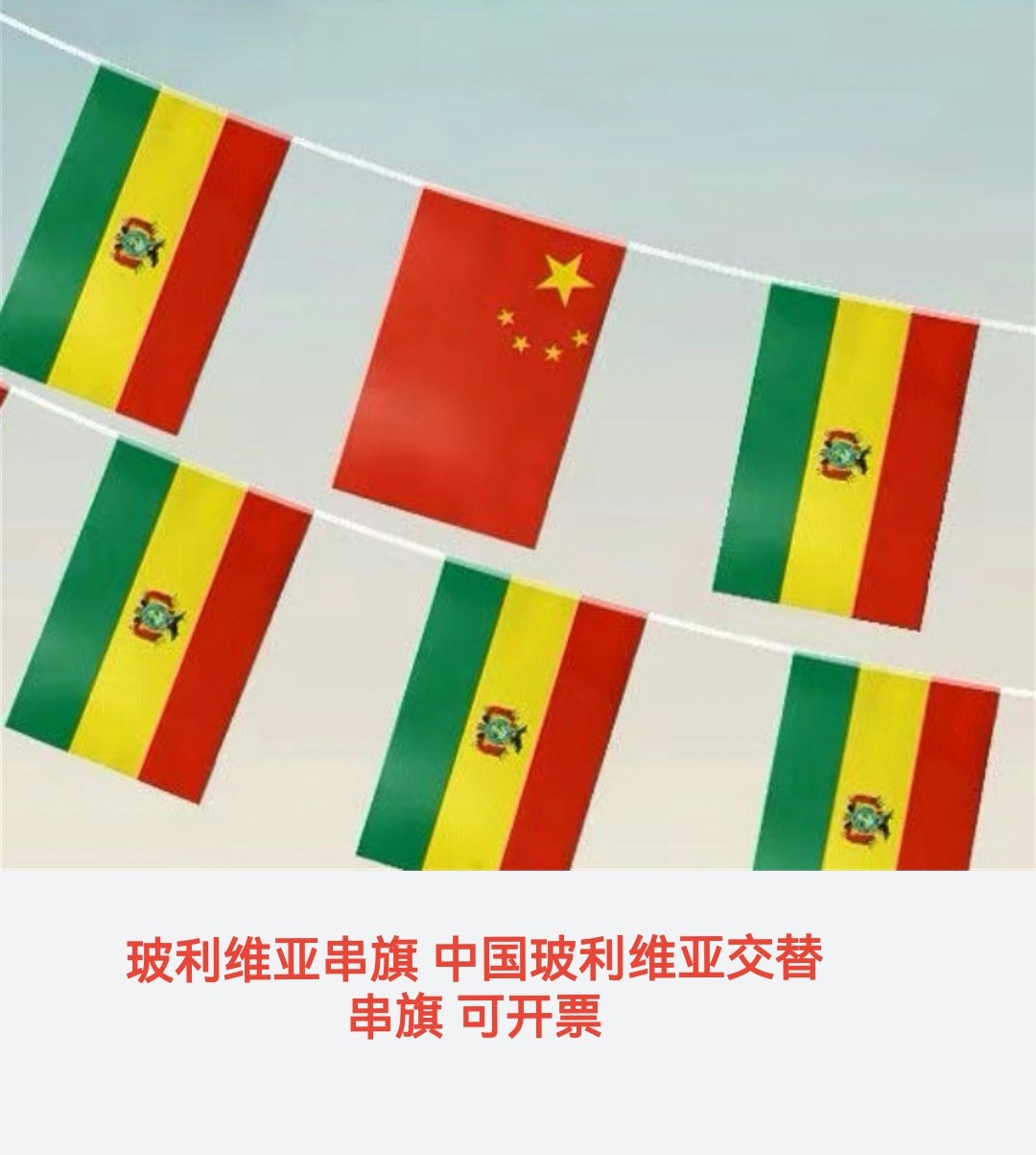 5米8号中国玻利维亚国旗串旗挂旗吊旗装饰小旗子玻利维亚小国旗