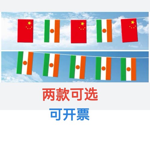 7米8号中国尼日尔国旗串旗挂旗吊旗装饰小旗子尼日尔小国旗