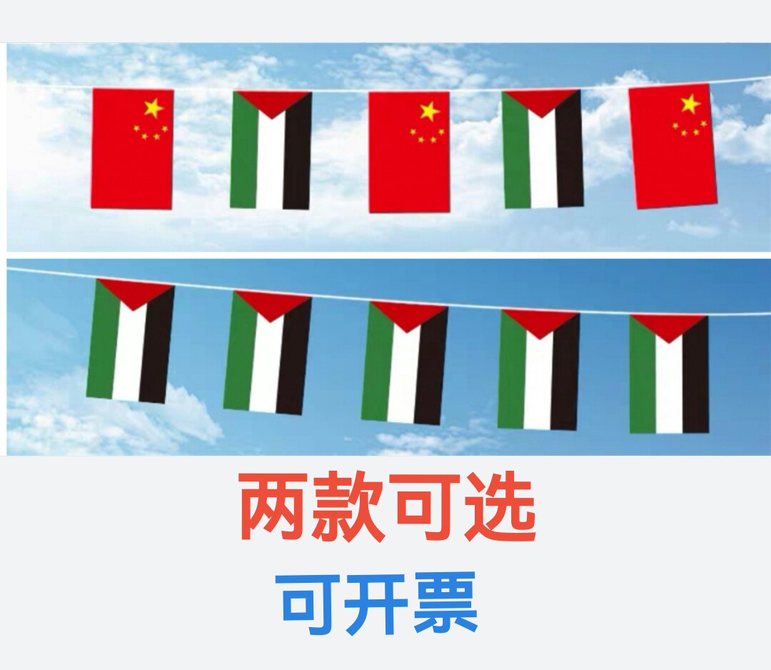 7米8号中国巴勒斯坦旗子国旗串旗挂旗吊旗小旗子巴勒斯坦小国旗