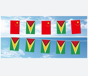 可开票5米8号圭亚那国旗串旗中国交叉串旗挂旗吊旗小旗子小国旗