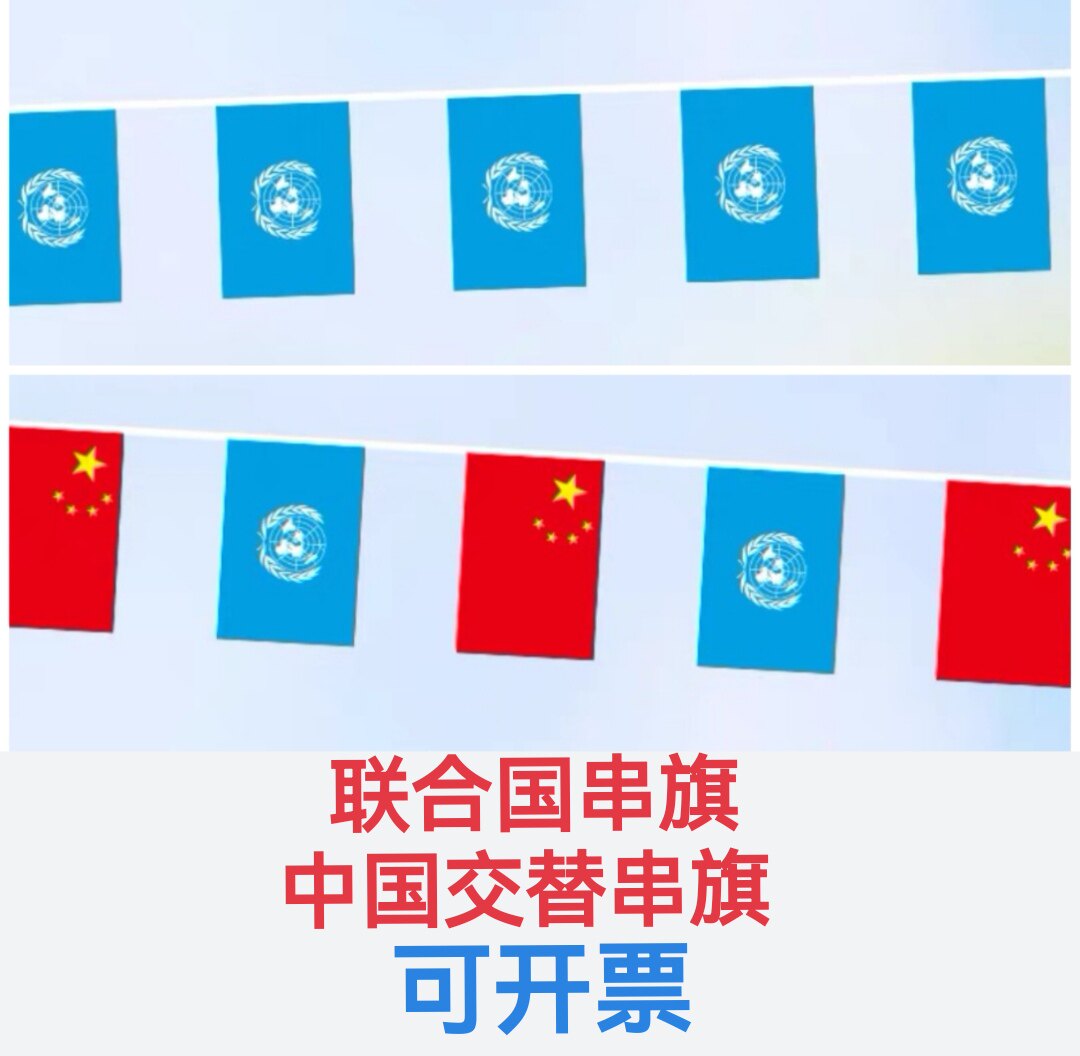 7米8号联合国国旗吊旗联合国串旗装饰挂旗联合国小旗子小国旗