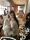 [Slimming Wang] Xiaohuajia "Edelweiss Girl" импортировала лисий мех из цельной кожи для похудения, меховое пальто для женщин mini 2