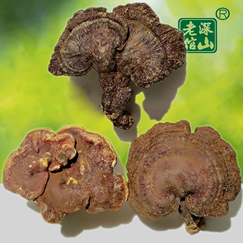 深山老倌纯粹野生灵芝特大个赤芝500克磨灵芝粉新货包邮云南特产