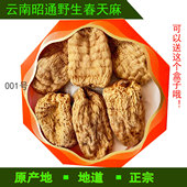 深山老倌正宗野生春天麻明天麻6个一斤云南昭通天麻今年新货 包邮