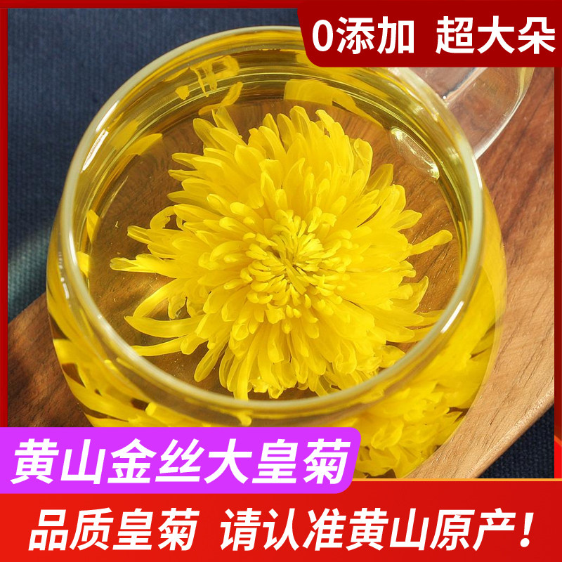 大朵金丝皇菊20朵 一朵一杯 菊花茶贡菊 黄山九华山老街宏村特产