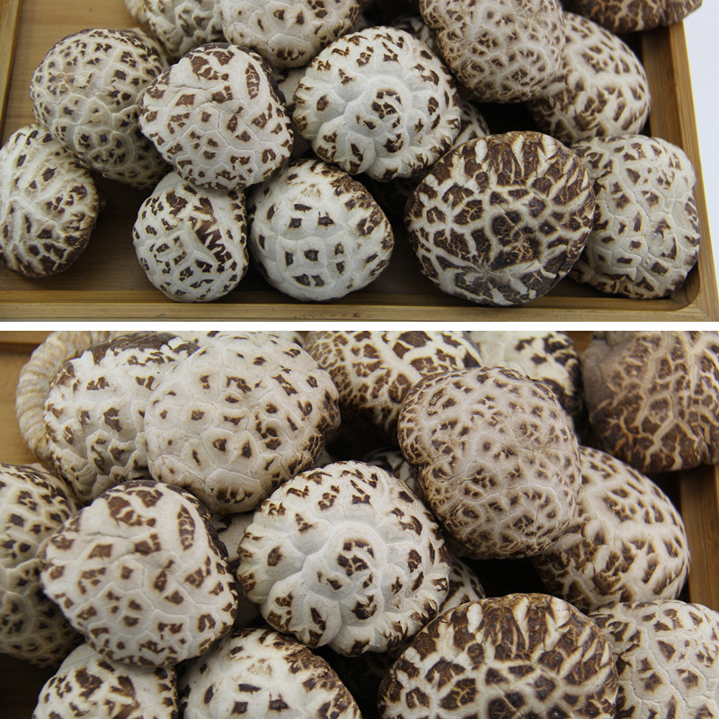 农家花菇 白椴木小花菇 野山珍菌干货食用香菇 黄山土特产250g