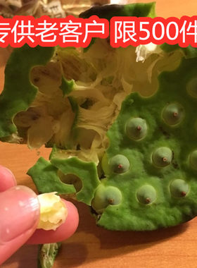 莲蓬新鲜莲子生吃新鲜头农家现摘水果特级精选你嫩甜脆野生