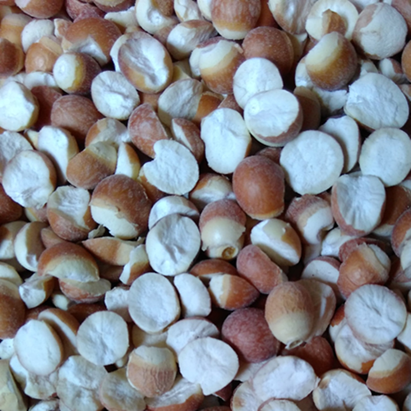 新鲜芡实芡实米半开鸡斗米微山湖芡实米鸡斗米野生芡实500克包邮