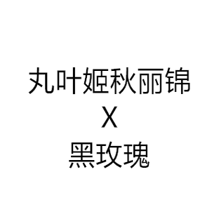 小柚子园艺2025年新品多肉杂交种子 丸叶姬秋丽锦杂黑玫瑰种子