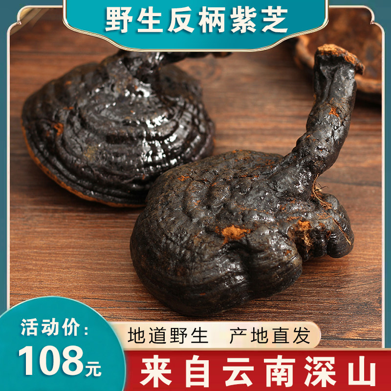 云南深山野生紫灵芝正品反柄黑灵芝250克整枝林芝整朵可切灵芝片