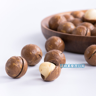 【逼林家】夏威夷果 生料 魔王金花松鼠粮食 松鼠食物