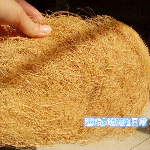 逼林家椰棕松鼠保暖不是宠物垫材
