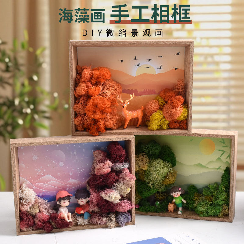 海藻画 仿真植物海草画立体相框微景观儿童手工DIY材料包亲子创意