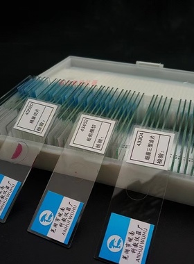 43550 骨细胞切片  初高中生物实验切片 显微镜片装生物切片