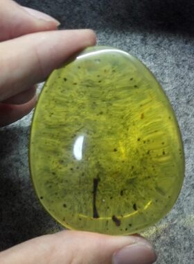 墨西哥蓝珀 虫珀 植物珀 大牌子 意境很美 26.24克 64*50*14.5MM