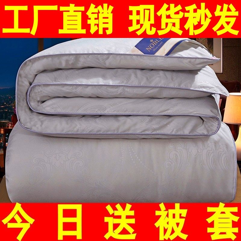 清仓春秋被子空调被双人夏凉被芯单人学生宿舍加厚保暖冬被棉被芯
