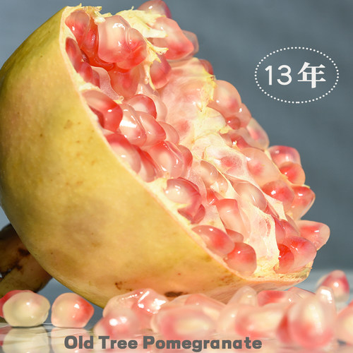 蒙自老树甜石榴精品大果礼盒