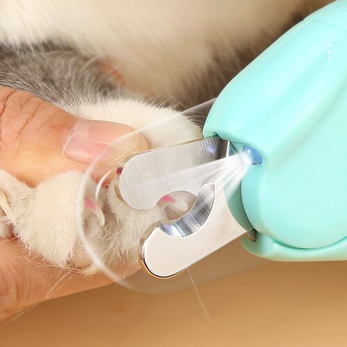 猫狗兔新手防血线指甲剪