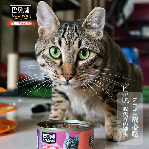 海鸥狒狒主自品牌 巴贝威天然金枪鱼红肉猫罐170克*48罐汤罐胨罐 - 封面