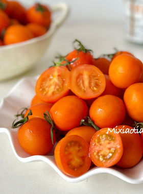 米小田 需冷藏 京东广州茂名电白香芒皇后甜圣女果橙色樱桃小番茄