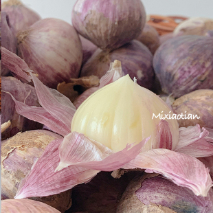 米小田 云南大理紫皮独头大蒜花青素头茬新鲜湿蒜头礼盒 可冷藏