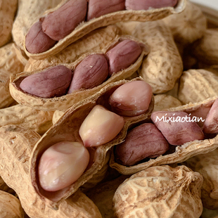 米小田 闽西特产福建龙岩湿烤红衣花生香酥脆带壳饱满500g*3包