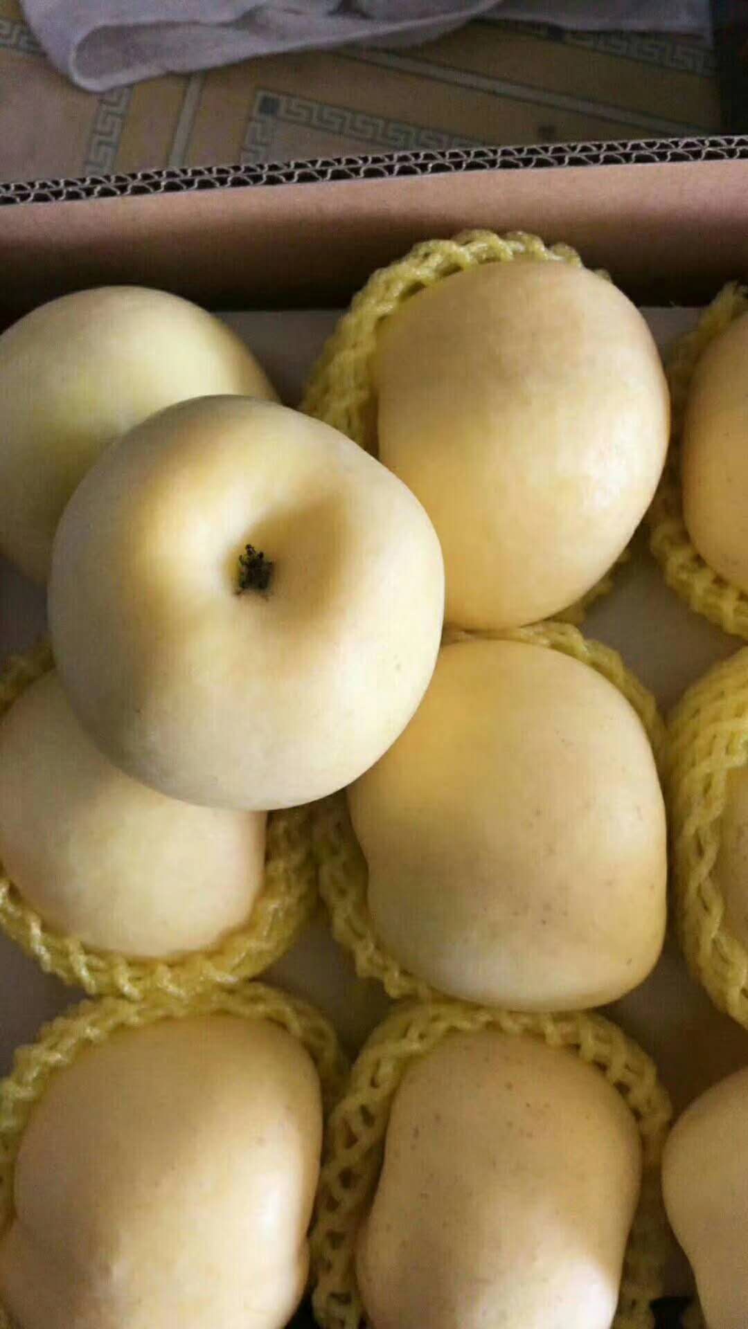 奶油苹果新鲜5斤不打蜡黄金富士牛奶苹果冰糖心宝宝辅食孕妇水果