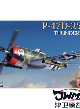 津卫模谷 MiniArt48009 1/48 P-47D-25RE 雷电 超级细节 拼装模型