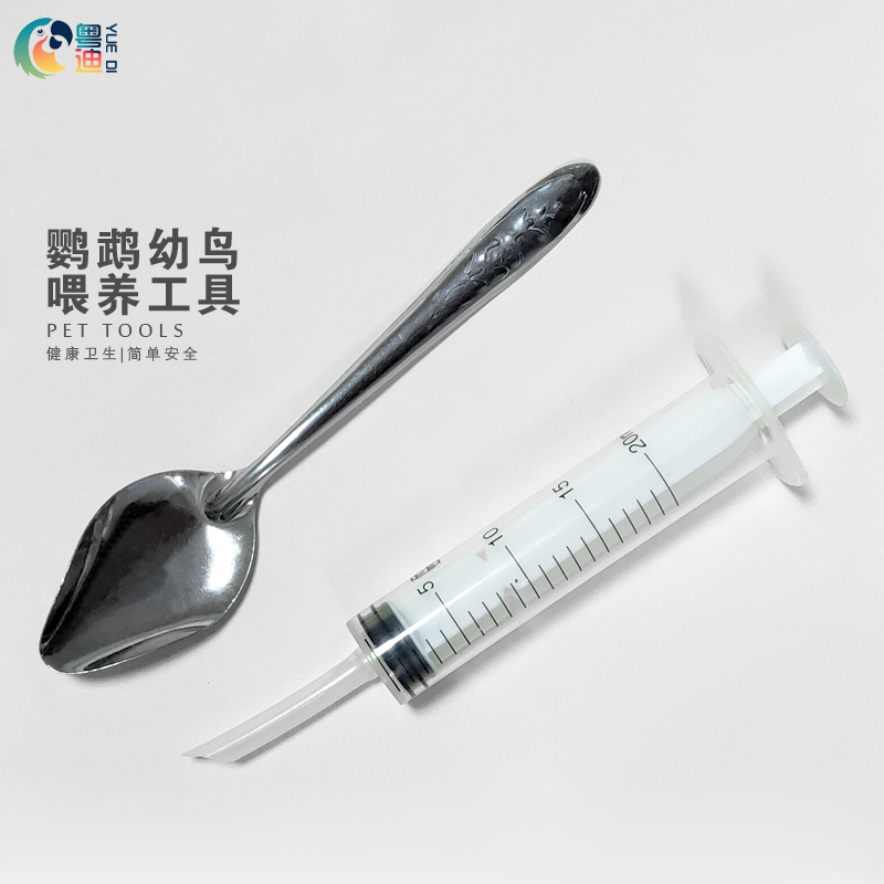八哥玄凤鹦鹉幼鸟粤迪