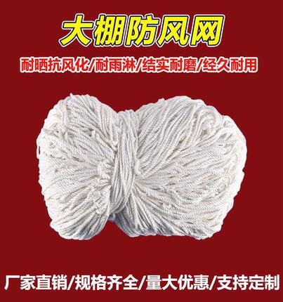 建筑安全网绳网尼龙网防坠网儿童楼梯阳台防护网防猫网绳防掉网子